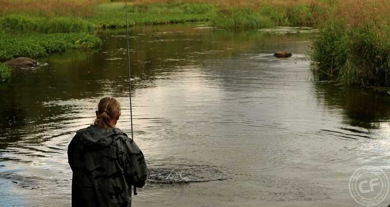 od kiedy można łowić pstrąga